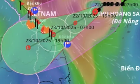 Bão số 12 Fengshen cách Đà Nẵng 240 km, gây mưa rất to từ đêm nay, cục bộ tới hơn 800 mm