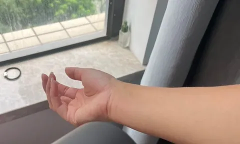 Sống nửa đời người mới nhận ra: Thứ bị xem nhẹ nhất nhà lại cứu tôi bao phen