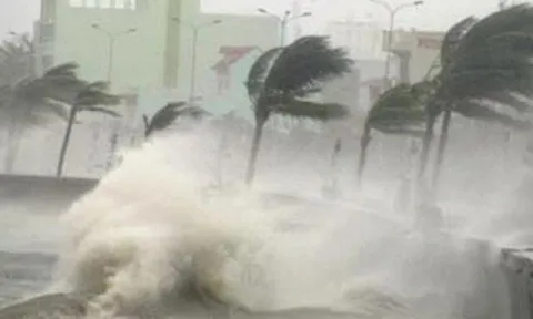 Bão Kalmaegi mạnh cấp 11, giật cấp 14, hướng vào khu vực nào của nước ta?