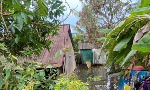 Đồng Tháp: Đau lòng 2 mẹ con chết trong căn nhà ngập nước, nghi bị điện giật