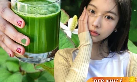 Người Việt có loại lá tốt ngang kem chống nắng, trị mụn hiệu quả đến Hòa Minzy cũng thích nhưng nhiều chị em không dám...