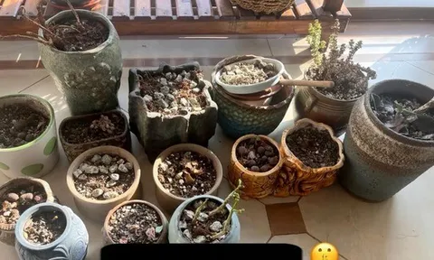 Tôi ước tất cả mọi người dứt khoát buông bỏ 7 thứ "chật nhà" này