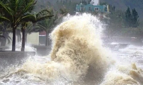 Tin tức 24h: Áp thấp nhiệt đới lạ thường vào Biển Đông, diễn biến tiếp theo thế nào?