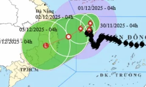 Bão số 15 giật cấp 11, "đi bộ" trên Biển Đông