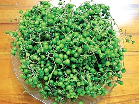 Loại quả xưa chín rụng chỉ dành cho "người nghèo", nay thành đặc sản nổi tiếng được ưa chuộng, 70.000 đồng/kg