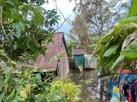 Đồng Tháp: Đau lòng 2 mẹ con chết trong căn nhà ngập nước, nghi bị điện giật