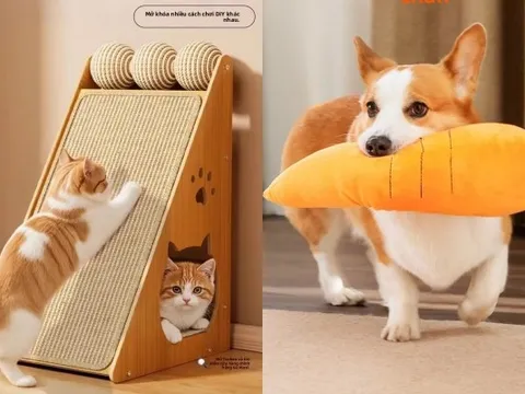 Đồ xịn cho boss, giá hời cho sen: Khám phá thế giới pet care nội địa Trung mùa 11.11!