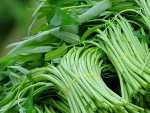 Mua rau, cứ học thuộc mẹo này là biết rau trồng tự nhiên hay rau phun thuốc kích thích