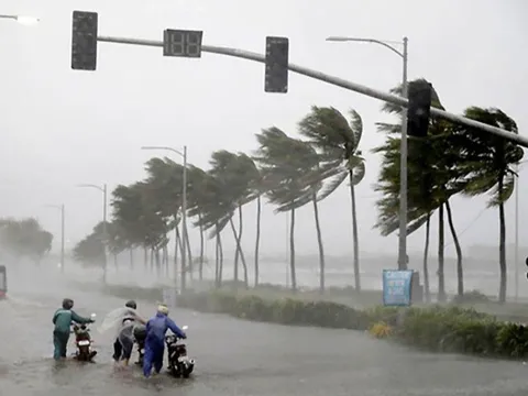 Miền Trung bị tác động thế nào bởi bão số 15?